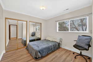 Bedroom featuring two closets, light wood-style floors, and ornamental molding