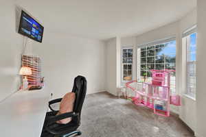 Carpeted home office with baseboards