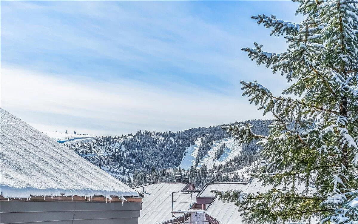 View of mountain background