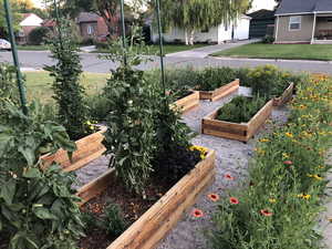 View of green lawn with a vegetable garden in the summer