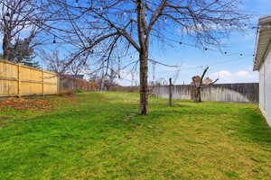 View of fenced backyard