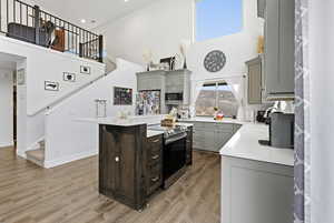 Kitchen featuring gray cabinetry, stainless steel appliances, a high ceiling, dark wood-style floors, and a kitchen island