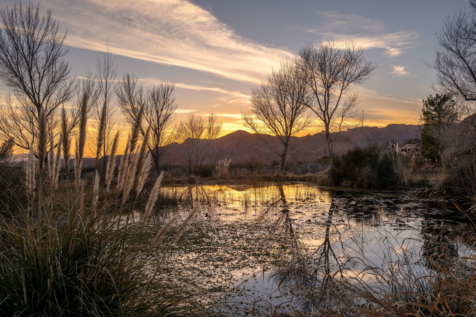 Mountain view with a nearby body of water