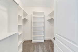 Walk in closet with light carpet