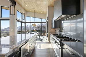 Kitchen with hanging light fixtures, a mountain view, stainless steel appliances, a high wood ceiling, and dark wood-style floors