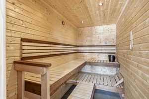 Sauna / steam room featuring wood walls and wooden ceiling