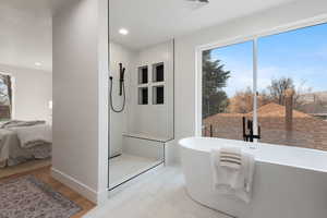 Bathroom featuring connected bathroom, a freestanding bath, a walk in shower, and plenty of natural light
