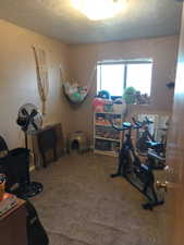 Workout area with light colored carpet and a textured ceiling