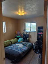 Carpeted bedroom with a textured ceiling