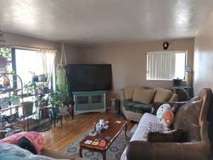 Living room with wood finished floors