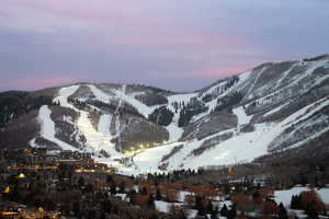 Mountain view featuring a tree filled landscape