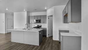 Kitchen with gray cabinets, a center island with sink, dark wood-style floors, stainless steel appliances, and recessed lighting