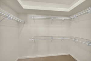 Walk in closet with carpet floors