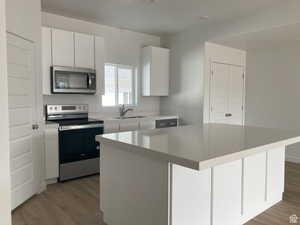 Kitchen with white cabinetry, stainless steel appliances, a kitchen island, light countertops, and dark wood-type flooring