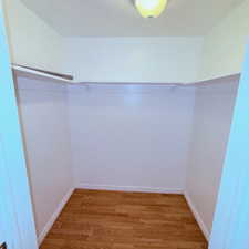 Walk in closet with wood finished floors