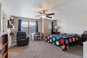 Large carpeted bedroom featuring ceiling fan, multiple windows, and a textured ceiling