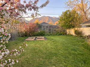 Fenced backyard with a mountain view and a vegetable garden