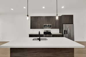 Kitchen featuring dark wood finish cabinets, light wood-style floors, stainless steel appliances, and modern cabinets