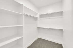 Walk in closet featuring light carpet