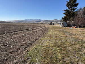 View of yard featuring a mountain view and a storage shed