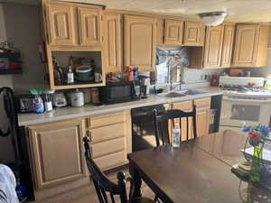 Kitchen featuring light countertops and black appliances