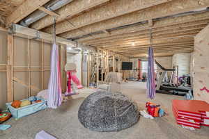 View of unfinished below grade area