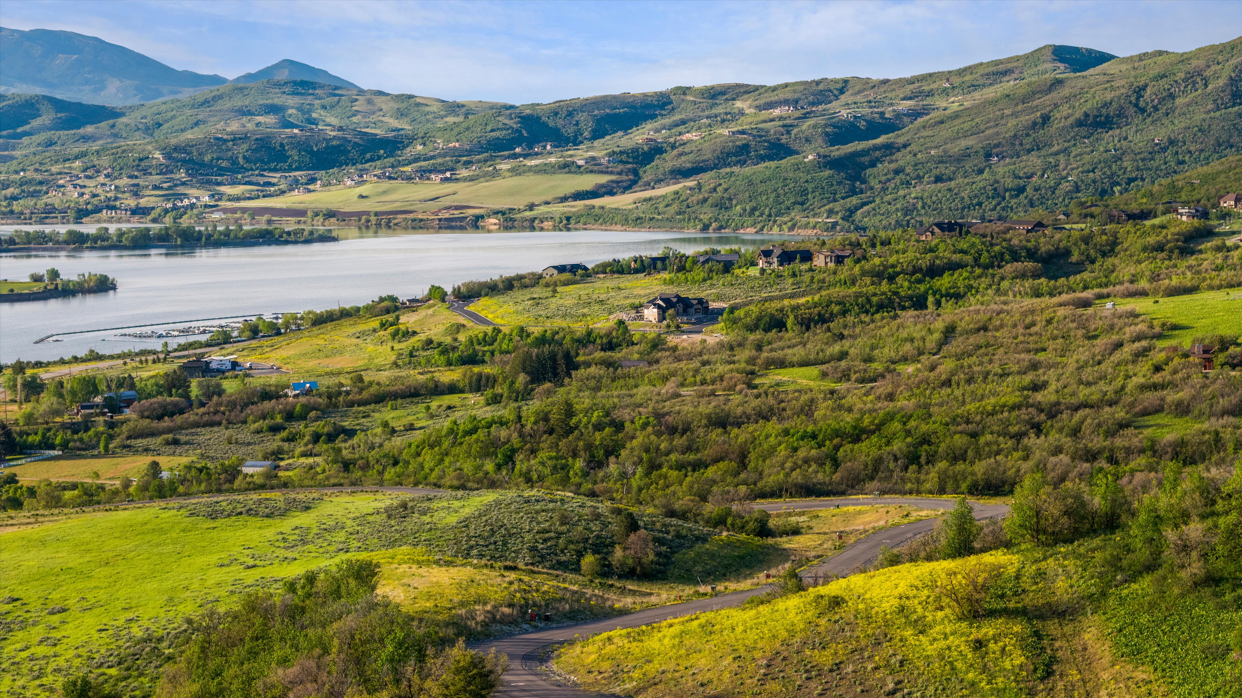 Expansive hillside property featuring a winding unpaved road, diverse natural vegetation, and distant water frontage