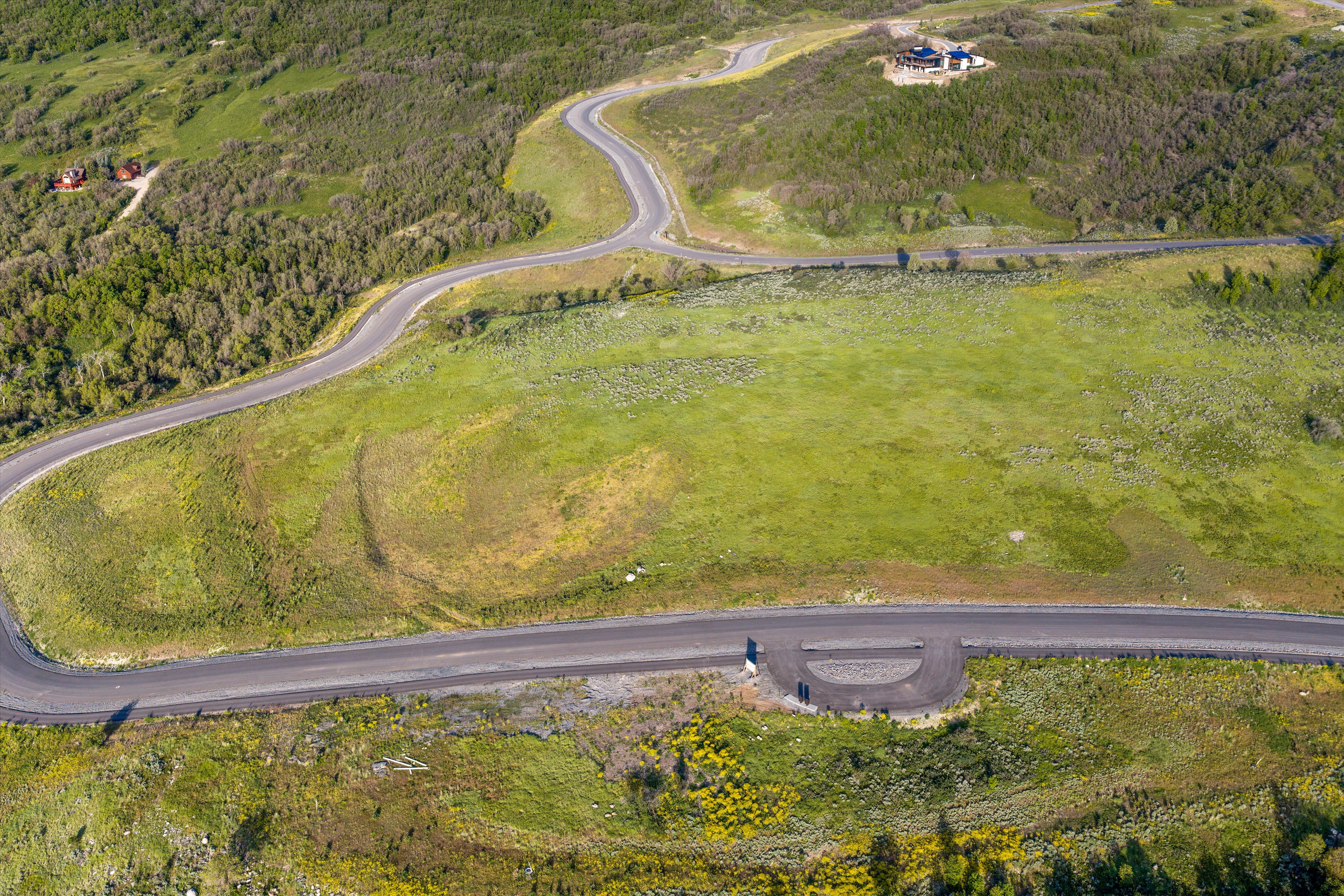 Expansive undeveloped land featuring a paved road, undulating topography, and mature natural vegetation