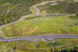Expansive undeveloped land featuring a paved road, undulating topography, and mature natural vegetation