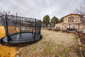 View of yard featuring a trampoline, an outdoor structure, and a barn