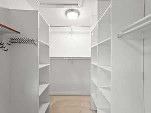 View of large walk in closet
