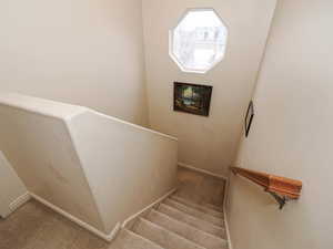 Staircase with carpet