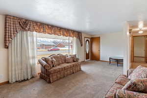 Carpeted living room with baseboards and a textured ceiling