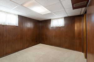 Below grade area featuring light carpet and wood walls