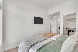 Bedroom with a closet and carpet