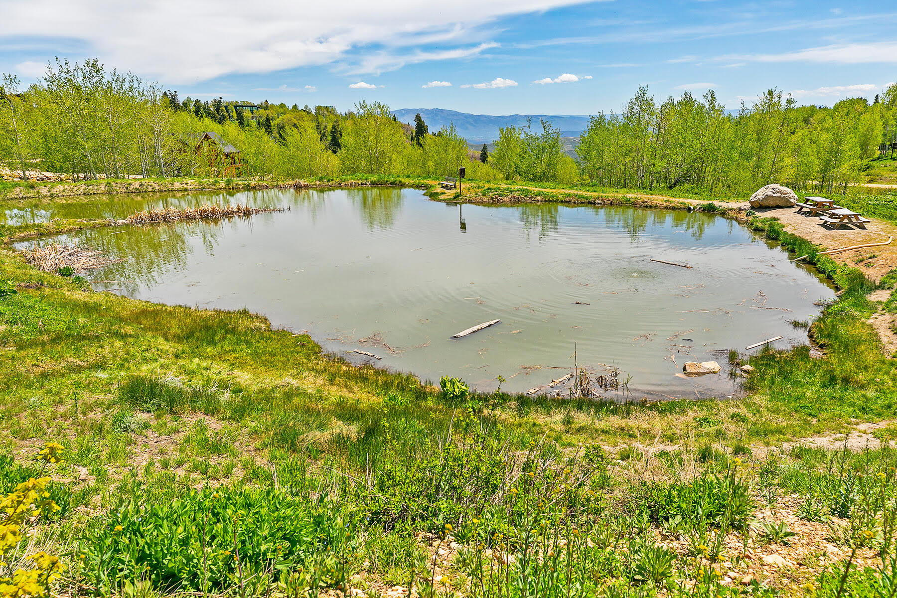 Water view featuring a mountainous background