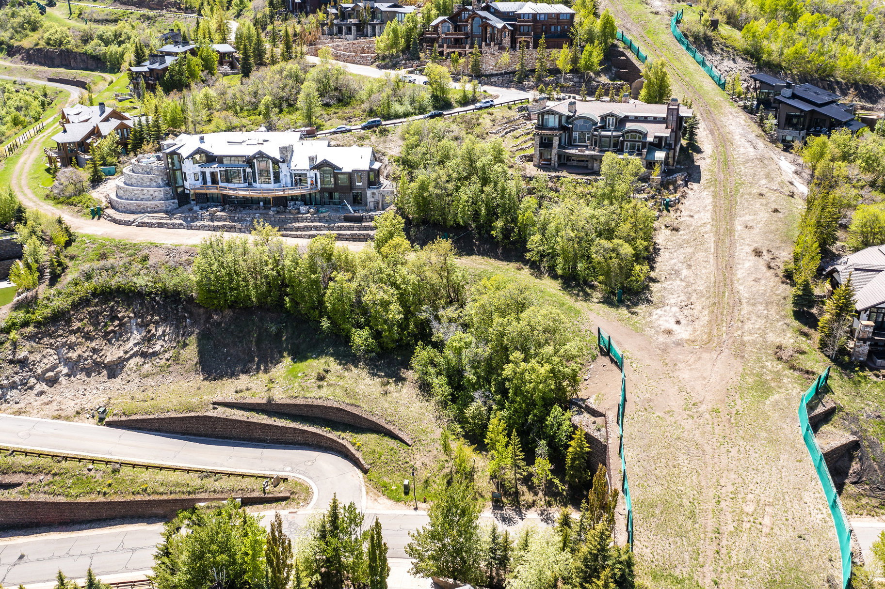 Hillside properties featuring lush green landscaping and mature trees