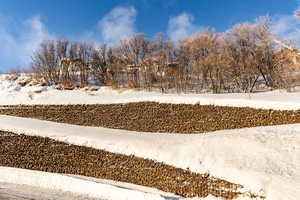 View of yard layered in snow