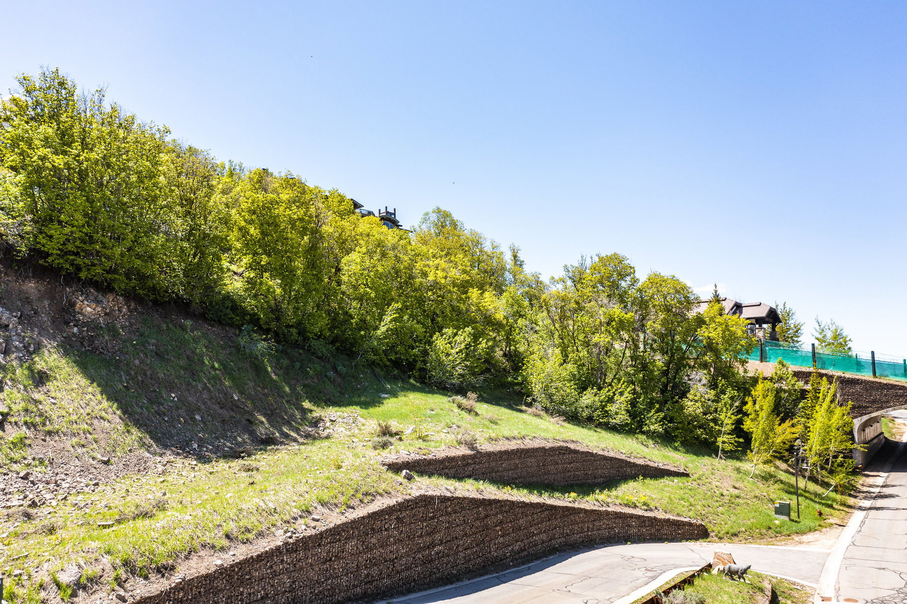 Hillside property featuring green landscaping and mature trees