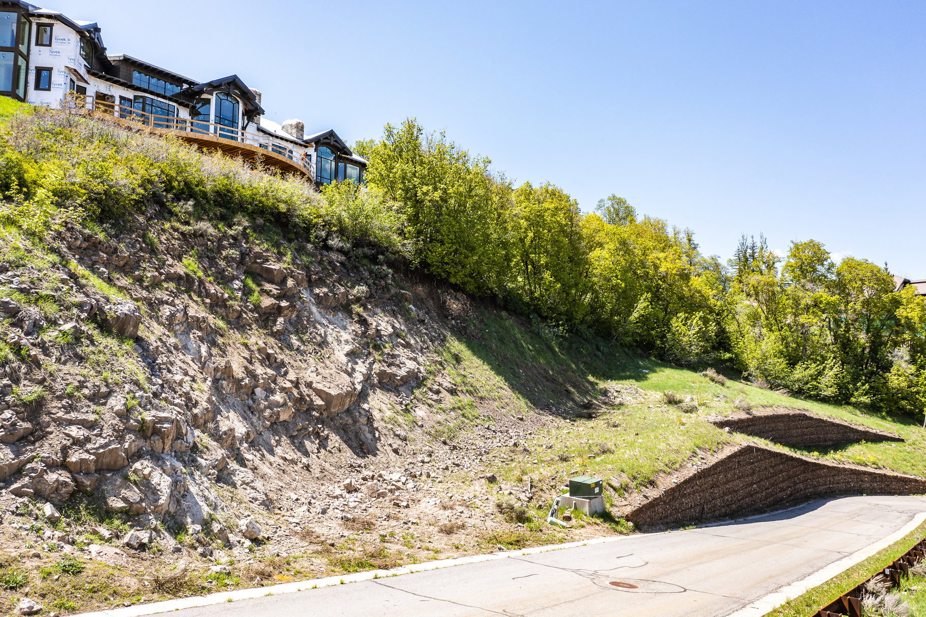 Sloped terrain with established trees and retaining walls