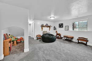 Rec room with carpet floors and a textured ceiling