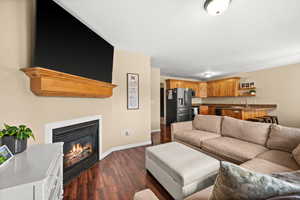 Living room with a glass covered fireplace and dark wood finished floors