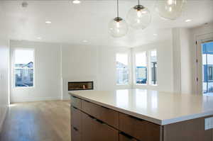 Kitchen with light wood-style flooring, a center island, a glass covered fireplace, dark wood finish cabinetry, and modern cabinets
