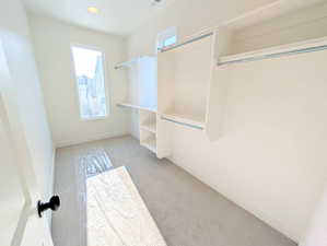 Primary Walk in closet featuring light carpet