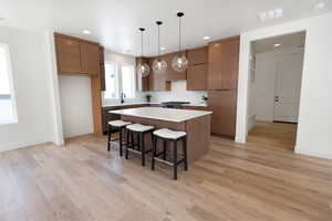 Kitchen with modern cabinets, a center island, a kitchen bar, light wood-style flooring, and stainless steel appliances