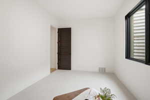 Carpeted spare room featuring plenty of natural light