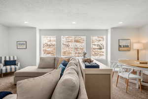 Carpeted living room featuring recessed lighting and a textured ceiling