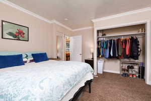 Bedroom with carpet flooring, crown molding, and a closet