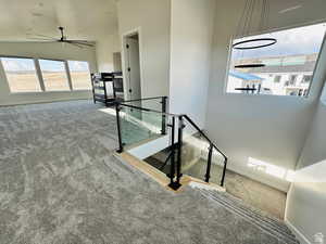 Stairs with carpet and ceiling fan