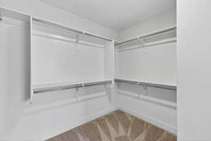 Walk in closet with light colored carpet